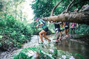 BIB: 
                            <button type="button" onclick="openModal(25444806)" class="btn btn-primary btn-sm float-right btn-popup" data-toggle="modal" data-target=".modal-high-quality">
                        <i class="fas fa-shopping-cart"></i> Add to Cart
                    </button>
                                            <button type="button" onclick="isThisMe(25444806, true)" class="btn btn-success btn-sm float-right btn-popup btn-isme hidden" data-toggle="tooltip" data-placement="bottom" title="นี่คือรูปของคุณใช่ไหม คลิกที่นี่เพื่อเอาเข้าอัลบั้ม">
                        <i class="fas fa-plus"></i> Add to album
                    </button>
                    <button type="button" onclick="isThisMe(25444806, false)" class="btn btn-warning btn-sm float-right btn-popup btn-isnotme hidden">
                        <i class="fas fa-ban"></i> Remove from album
                    </button>